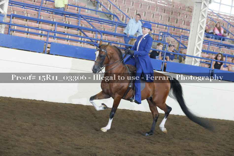 Proof 15R11_03306