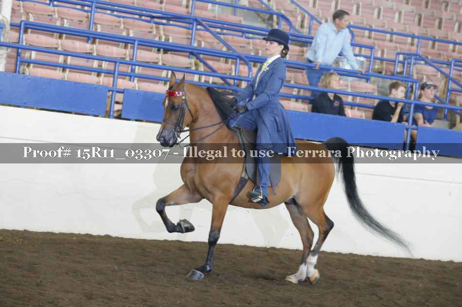 Proof 15R11_03307