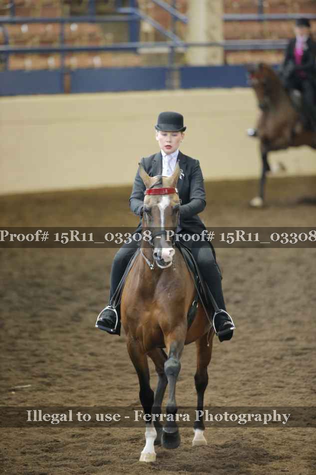 Proof 15R11_03308