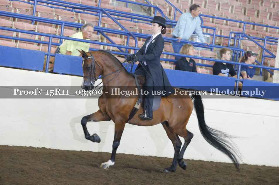 Proof 15R11_03309