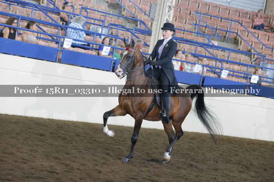 Proof 15R11_03310