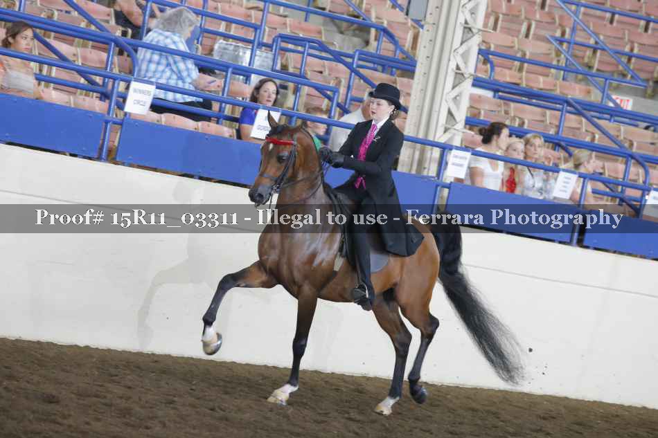 Proof 15R11_03311