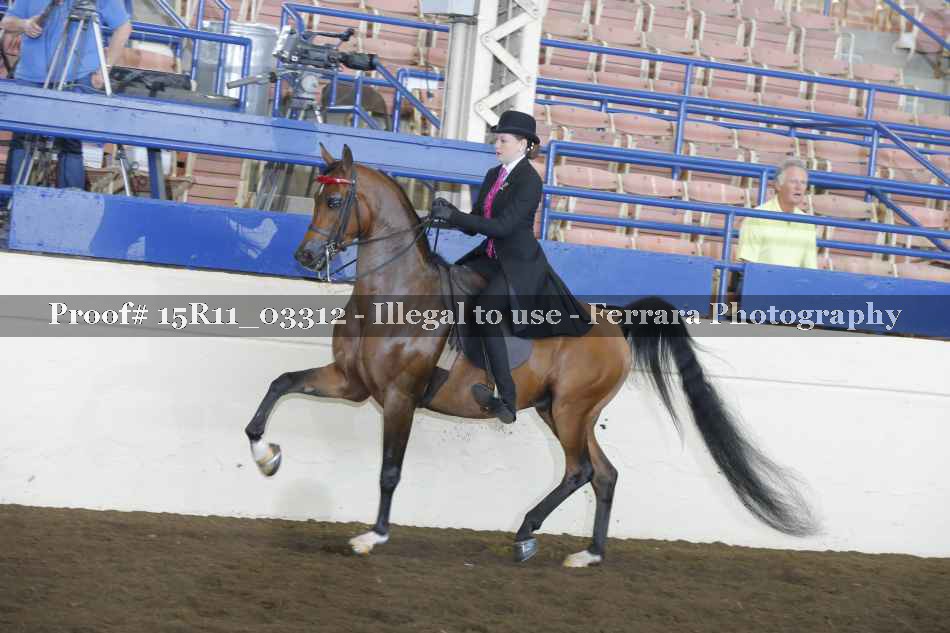 Proof 15R11_03312