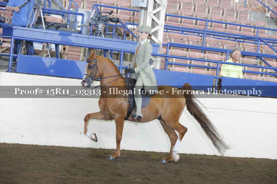 Proof 15R11_03313