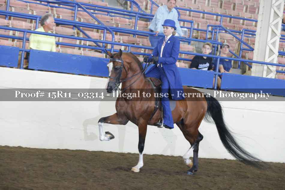 Proof 15R11_03314