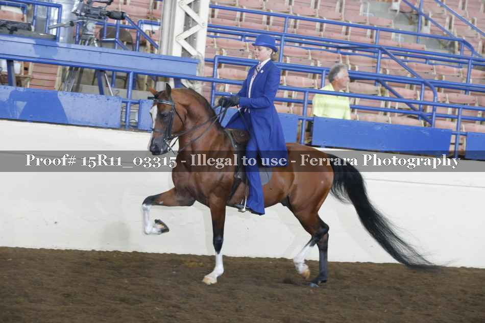 Proof 15R11_03315