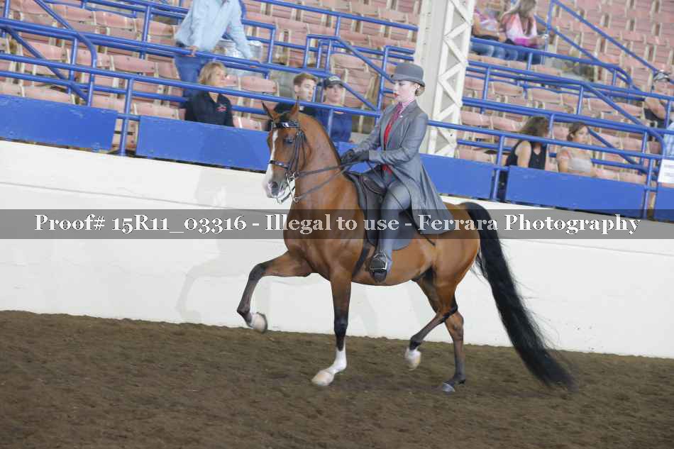 Proof 15R11_03316