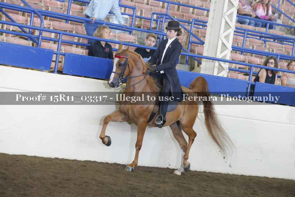 Proof 15R11_03317