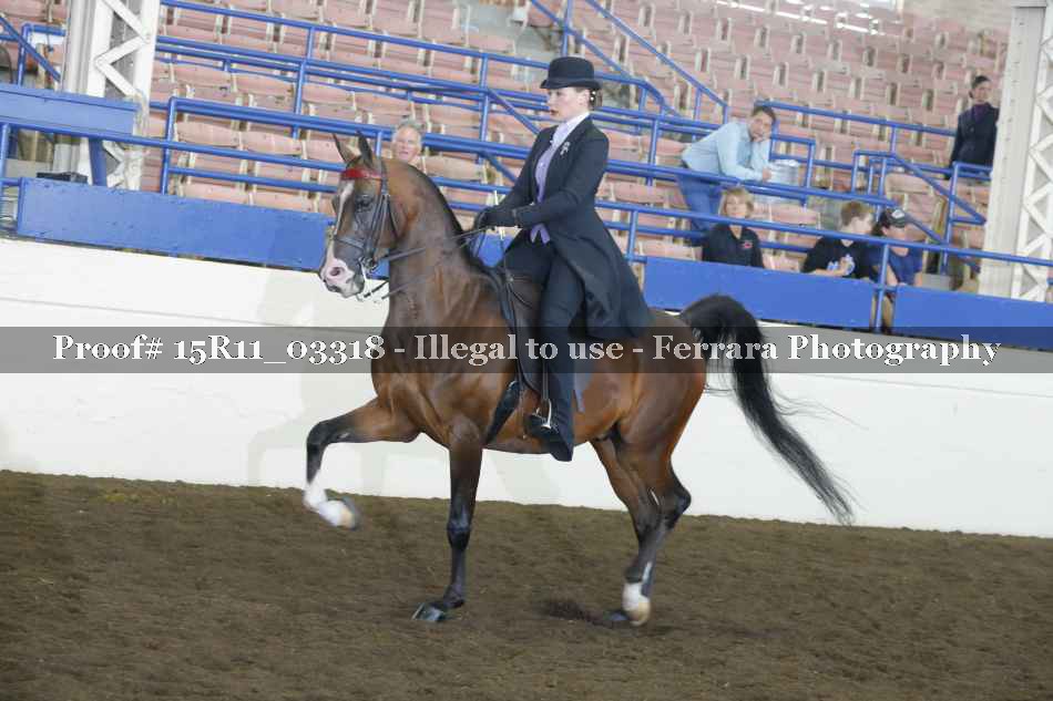 Proof 15R11_03318