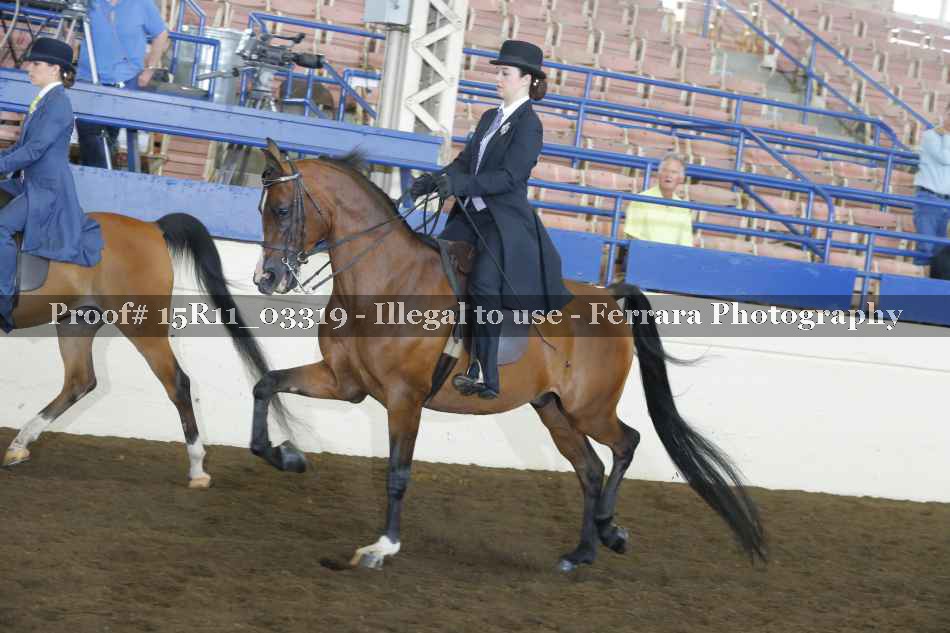 Proof 15R11_03319