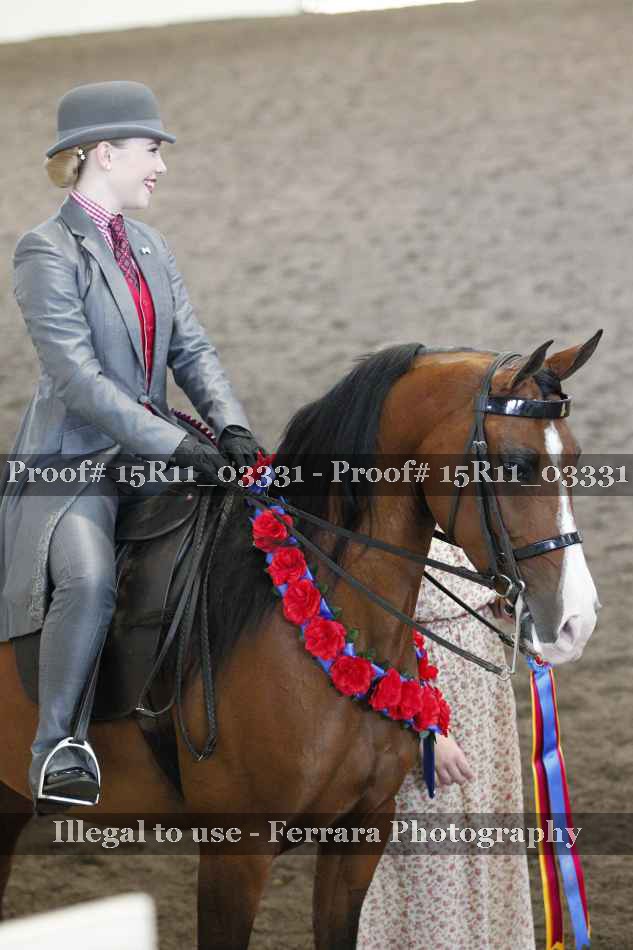 Proof 15R11_03331
