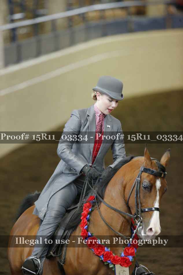 Proof 15R11_03334