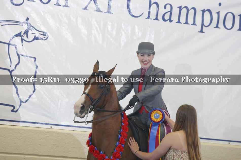 Proof 15R11_03339