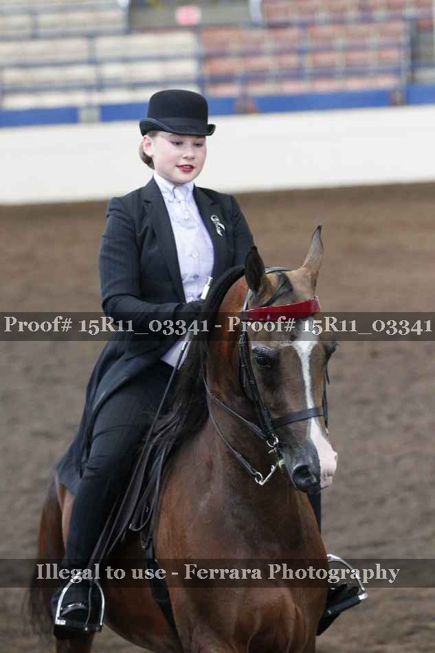 Proof 15R11_03341