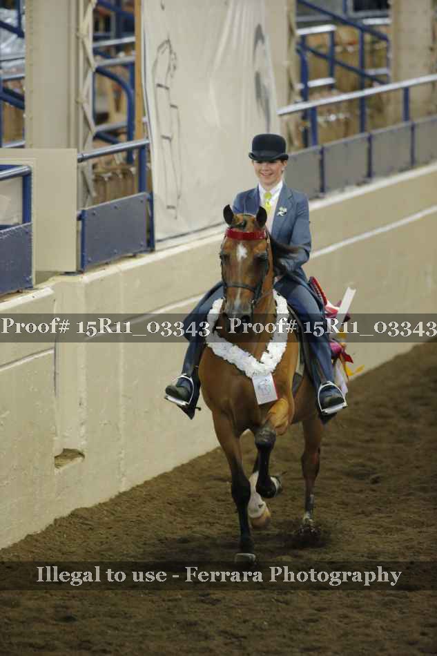 Proof 15R11_03343