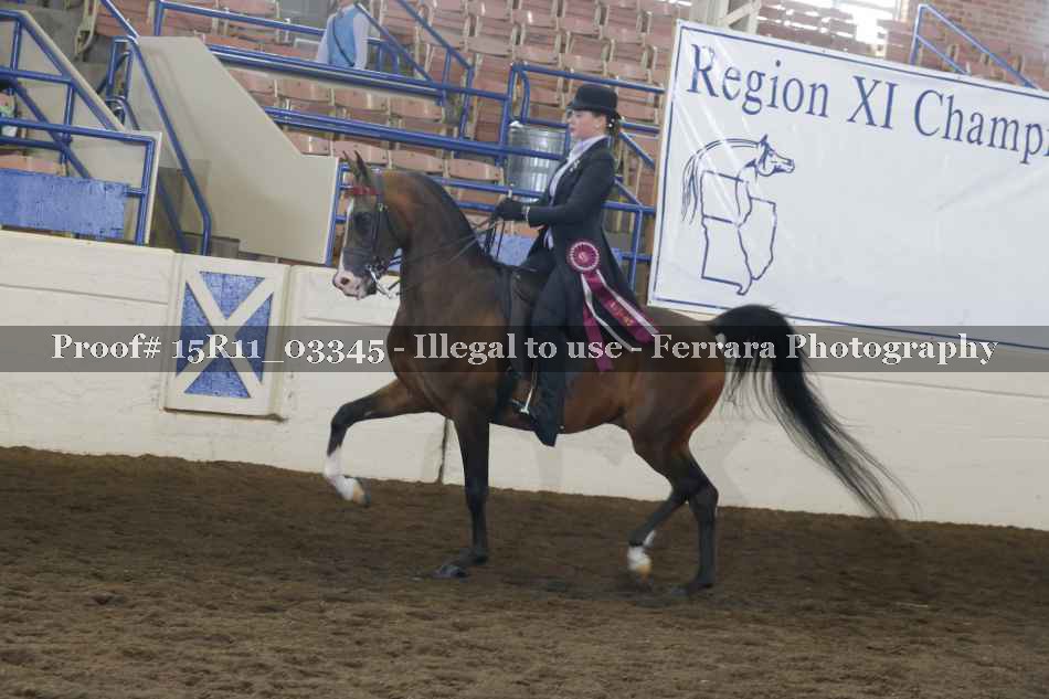 Proof 15R11_03345