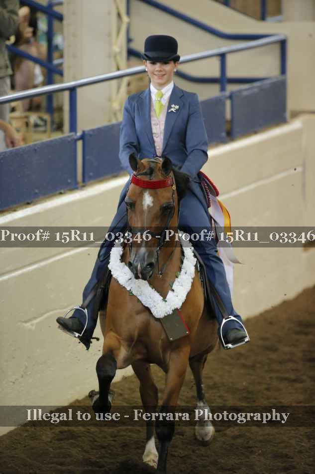 Proof 15R11_03346
