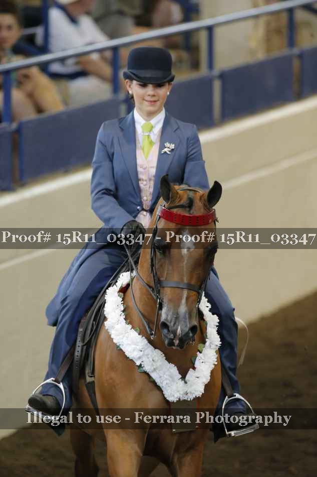 Proof 15R11_03347