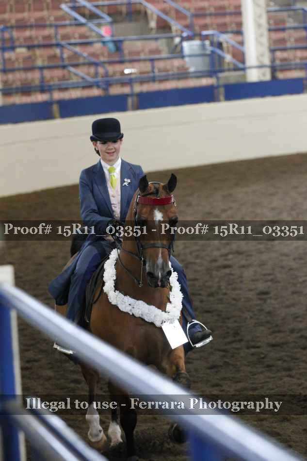 Proof 15R11_03351