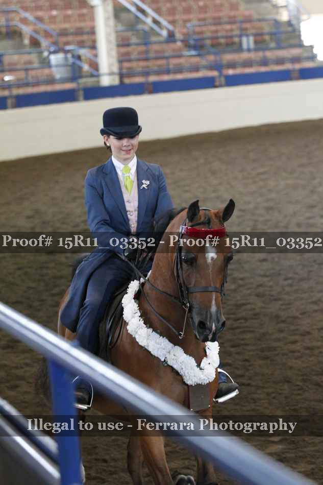 Proof 15R11_03352