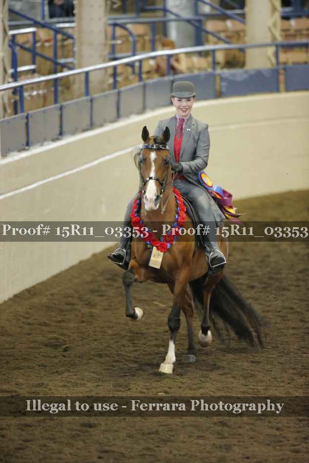 Proof 15R11_03353