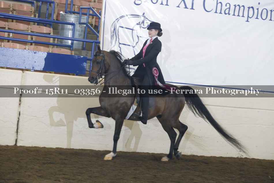 Proof 15R11_03356