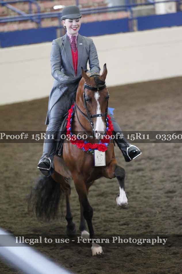 Proof 15R11_03360