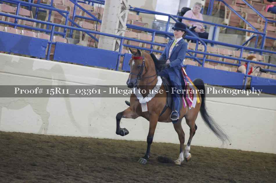 Proof 15R11_03361