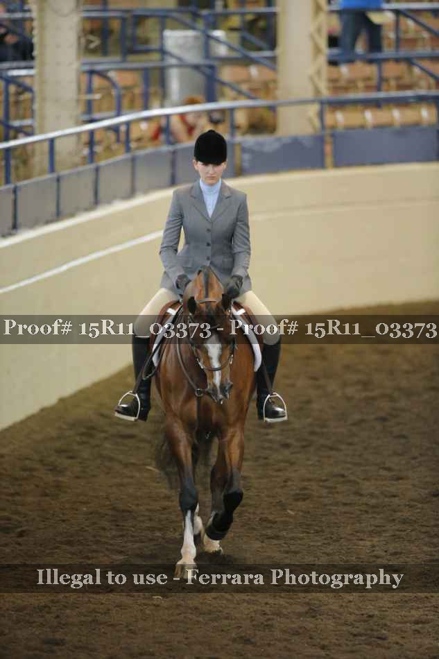 Proof 15R11_03373