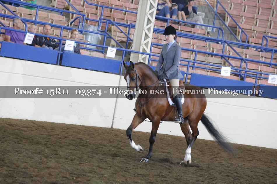 Proof 15R11_03374
