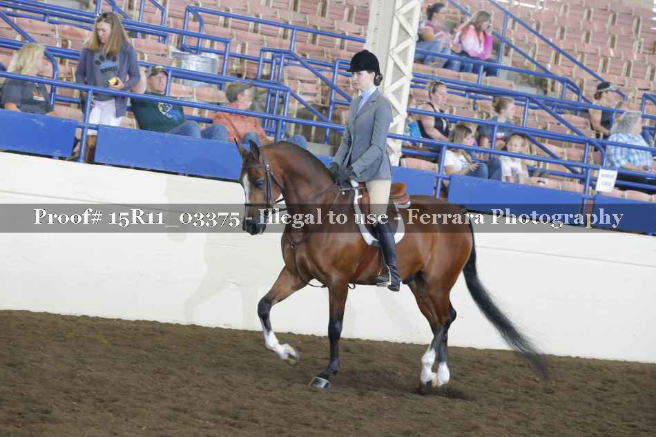 Proof 15R11_03375