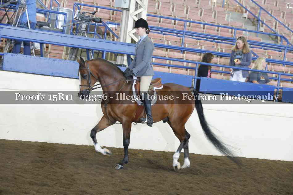 Proof 15R11_03376