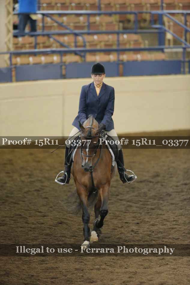Proof 15R11_03377