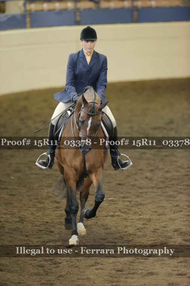 Proof 15R11_03378