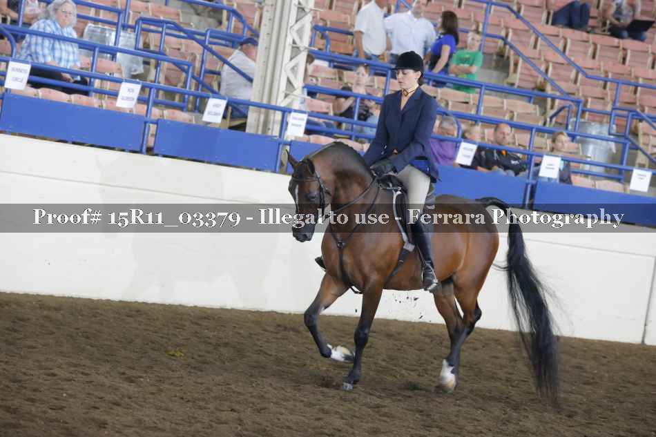 Proof 15R11_03379