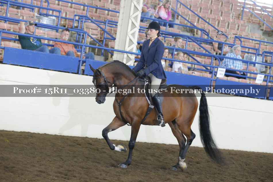 Proof 15R11_03380