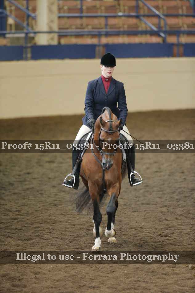 Proof 15R11_03381