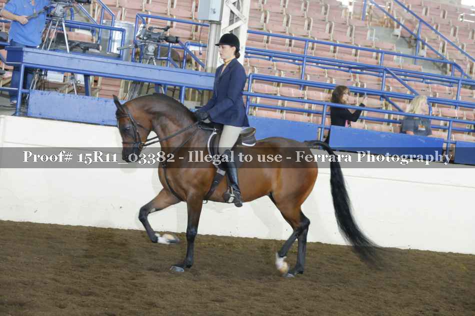 Proof 15R11_03382