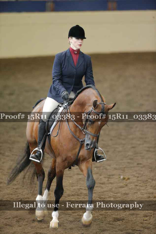 Proof 15R11_03383