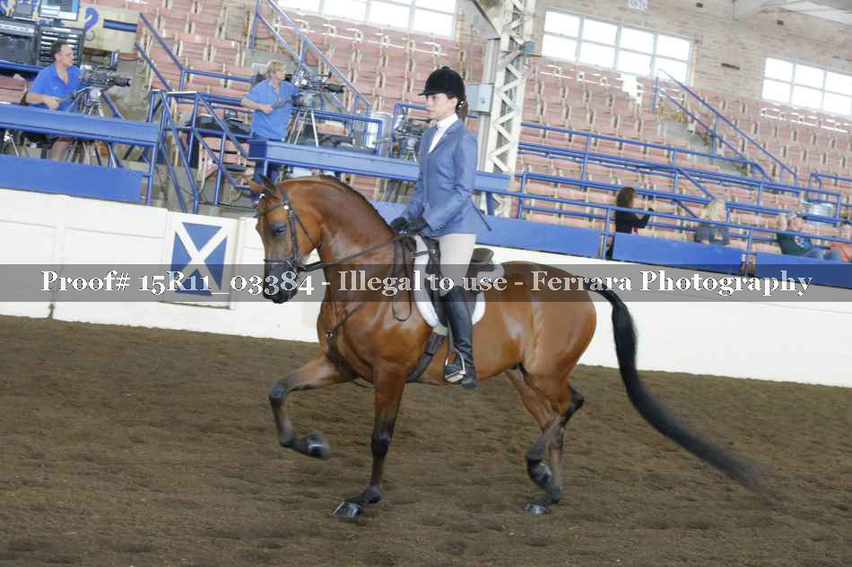 Proof 15R11_03384