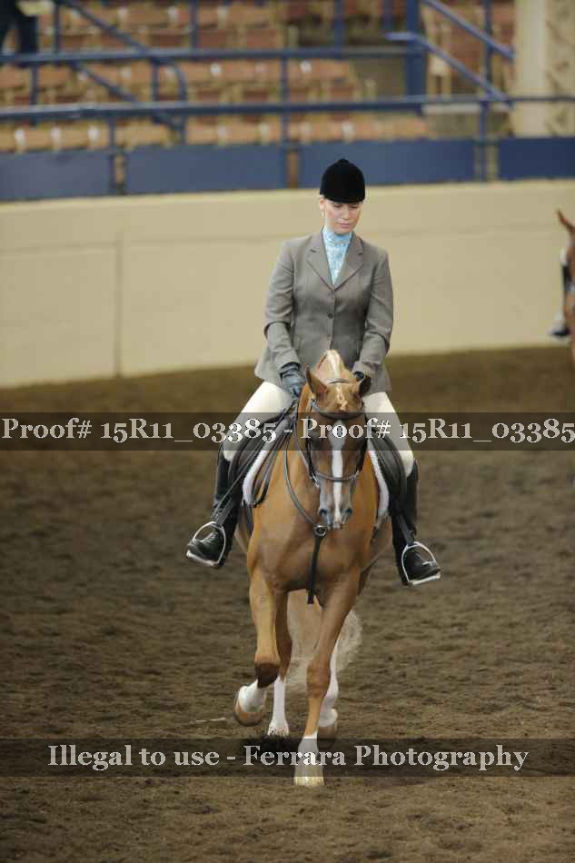 Proof 15R11_03385