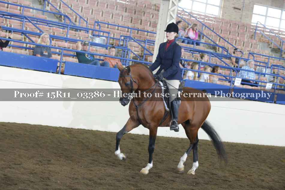 Proof 15R11_03386