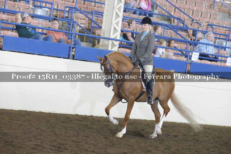Proof 15R11_03387