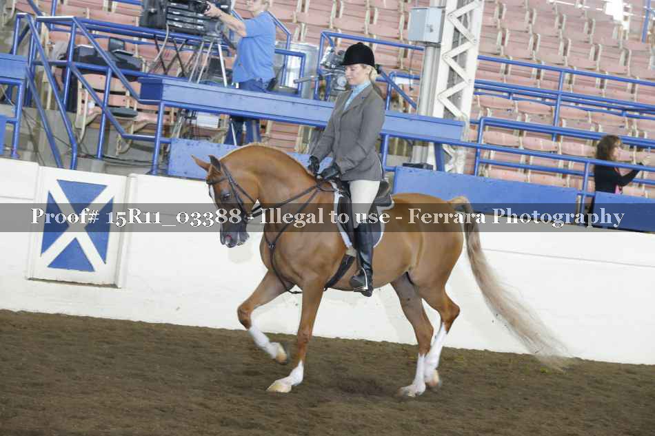 Proof 15R11_03388