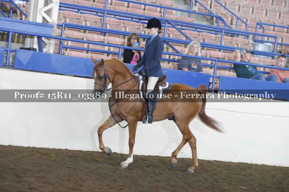 Proof 15R11_03389