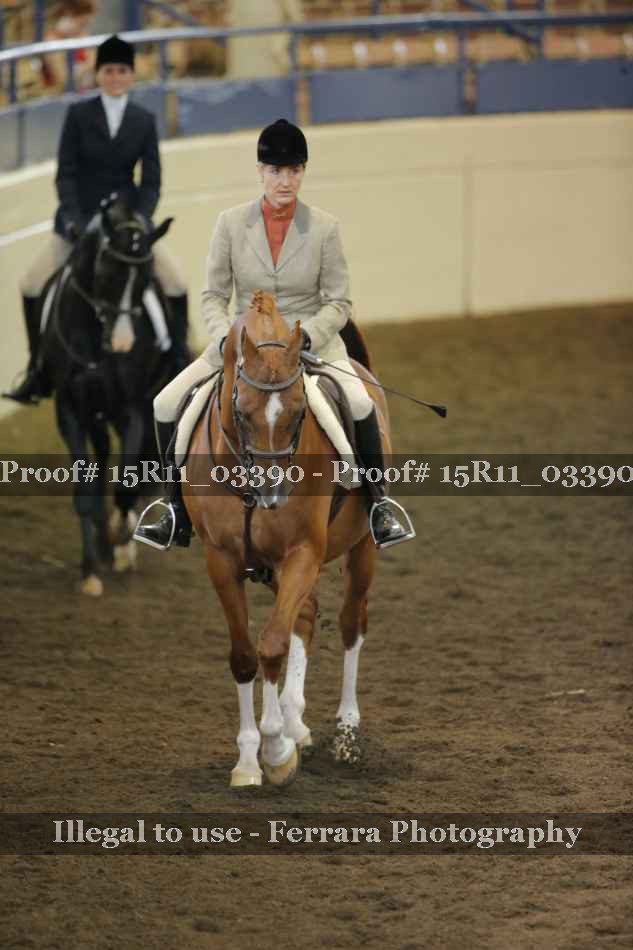 Proof 15R11_03390