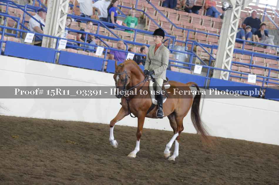 Proof 15R11_03391