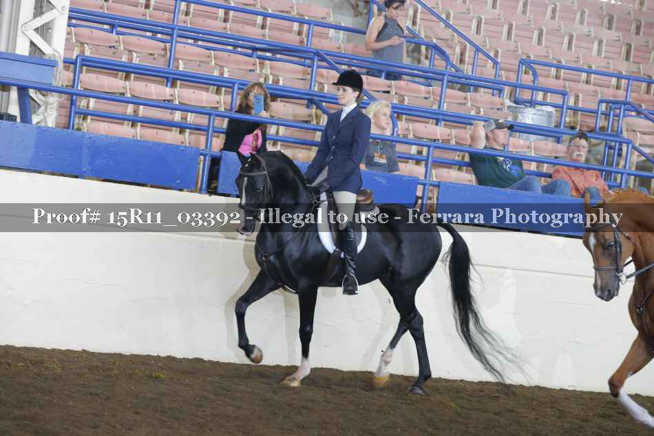 Proof 15R11_03392