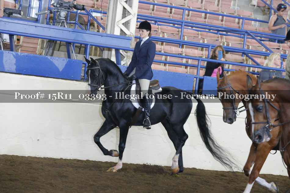 Proof 15R11_03393