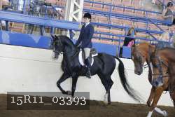 15R11_03393 proof